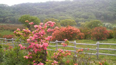 2010061315120000.jpg